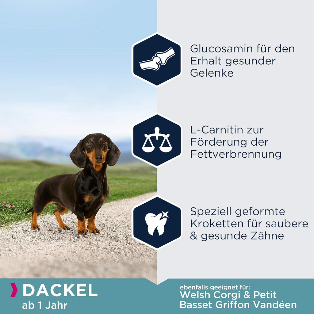 Eukanuba Breed Specific Dackel Trockenfutter - optimal auf die Rasse abgestimmte
