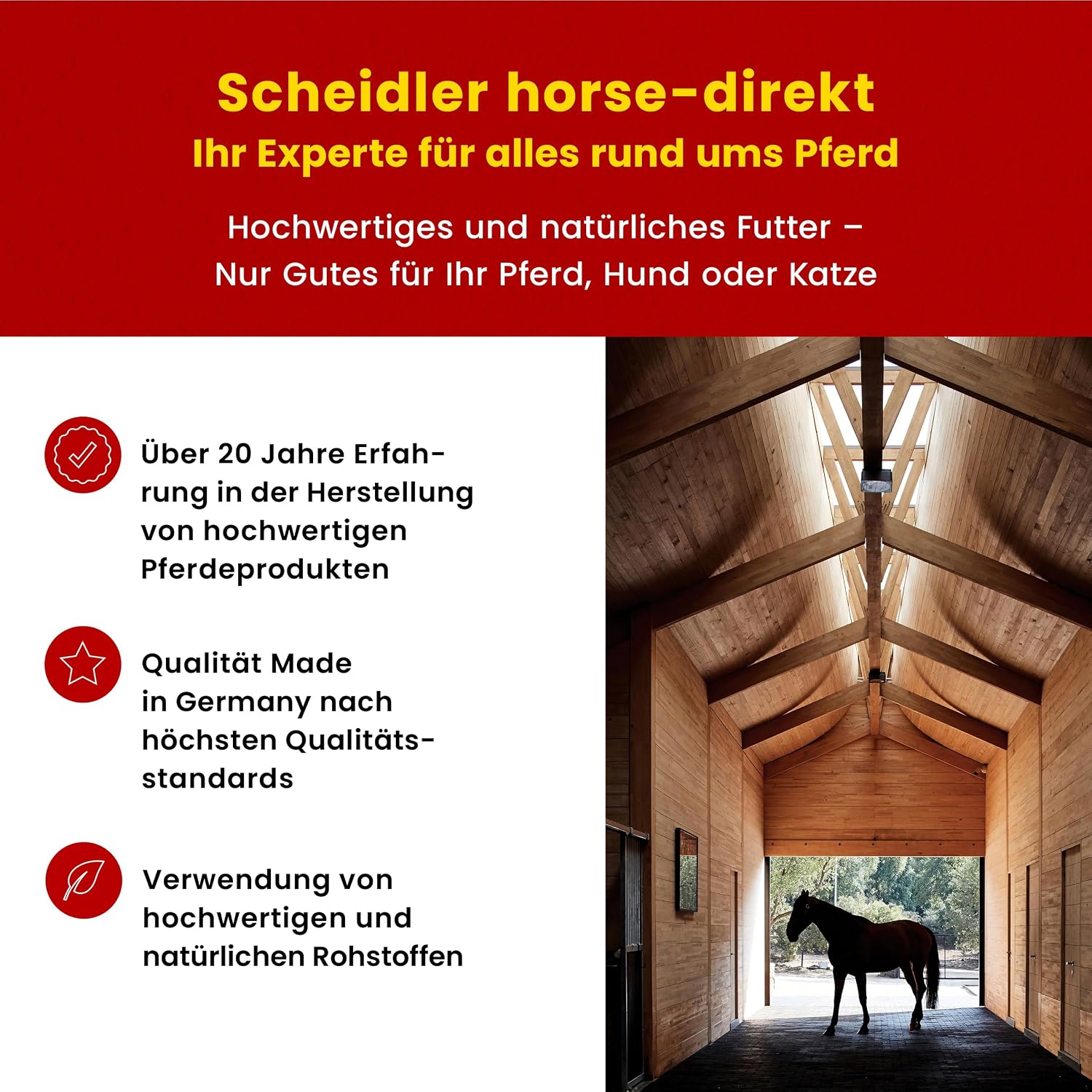 Scheidler Leinöl für Pferd Hund Katze 5 L Omega 3 und 6