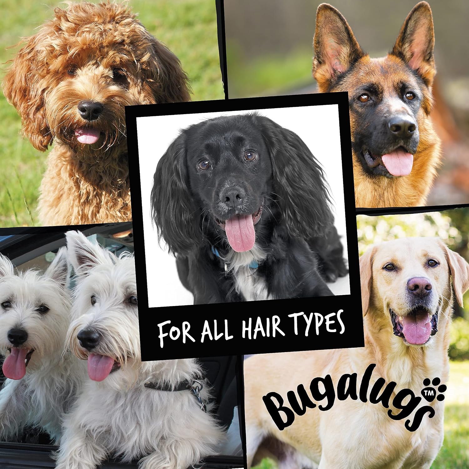 BUGALUGS Hundeshampoo 3‑in‑1 Reinigung Pflege Entwirrung Himbeer Zitrone -5