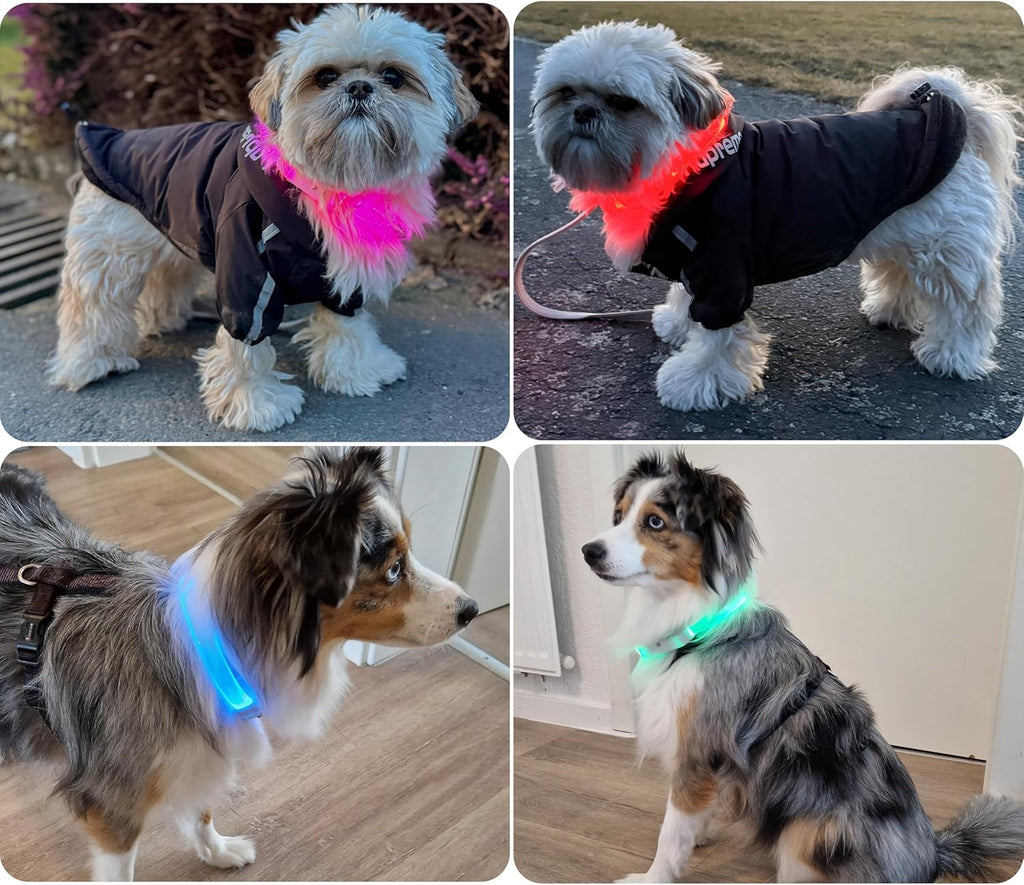 PAJ Light LED Hundehalsband cm verstellbar wasserfest schwarz, 7 Farben