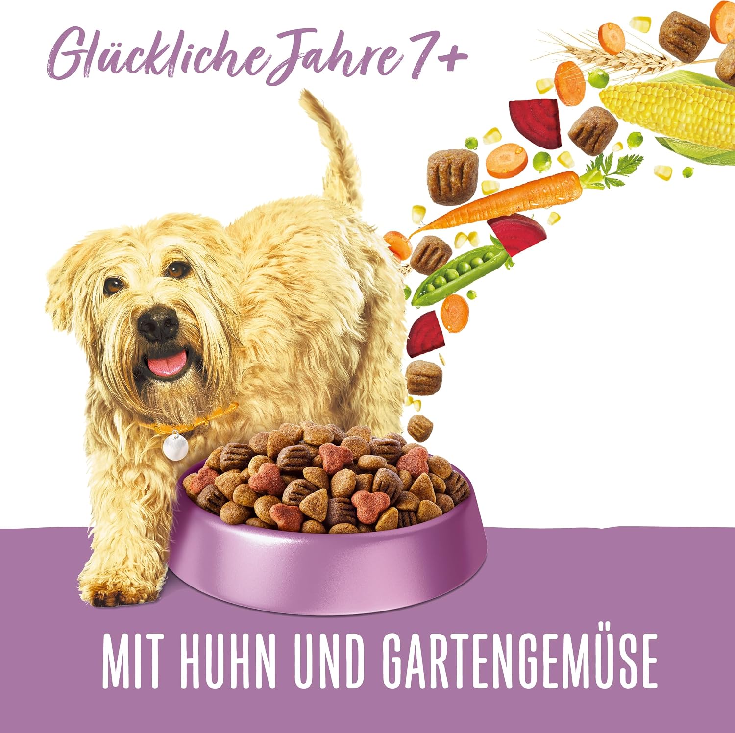 Beneful Glückliche Jahre Senior 7+ Trockenfutter Huhn & Gartengemüse