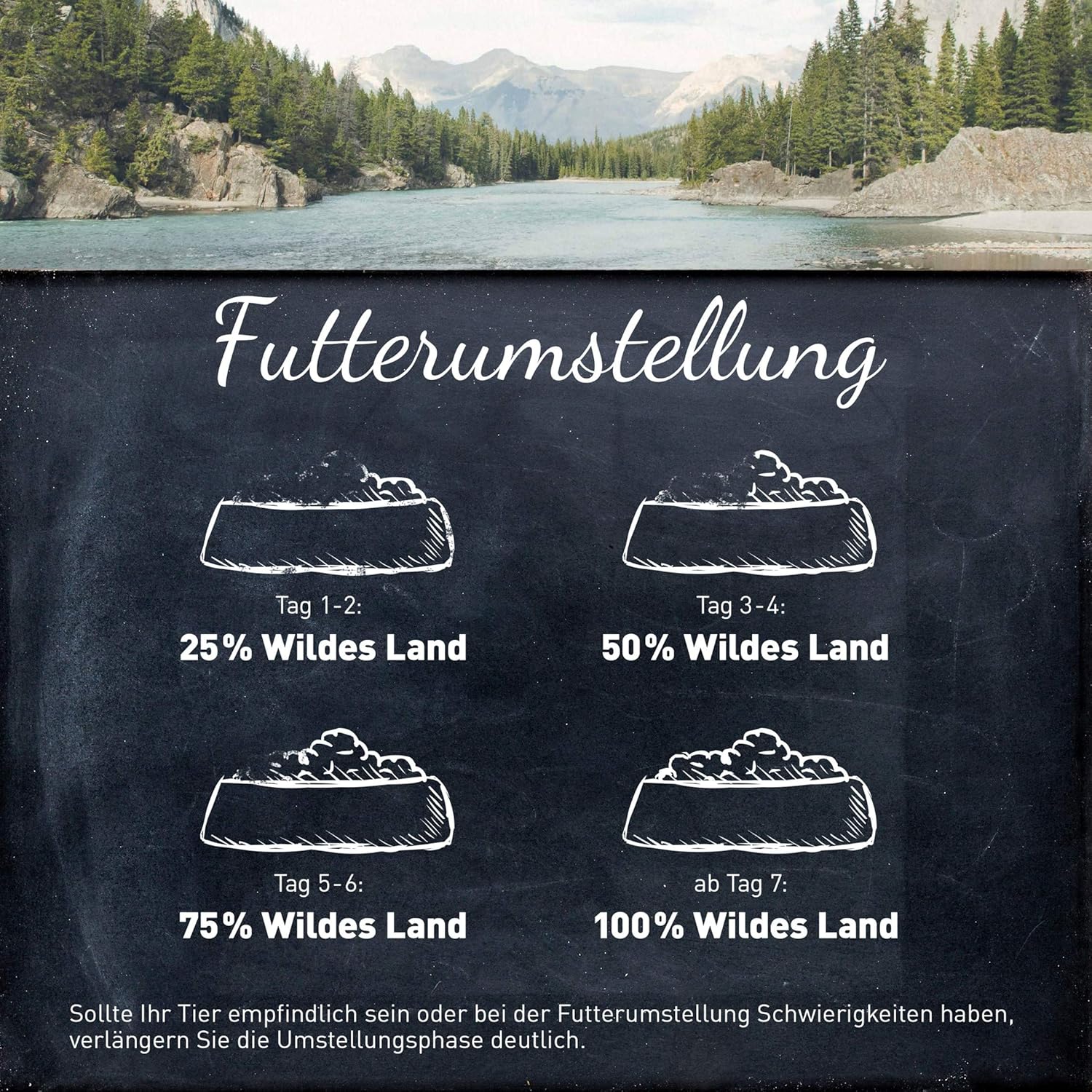 WILDES LAND Nassfutter Hund Wild 6x400g Alleinfutter hoher Fleischanteil