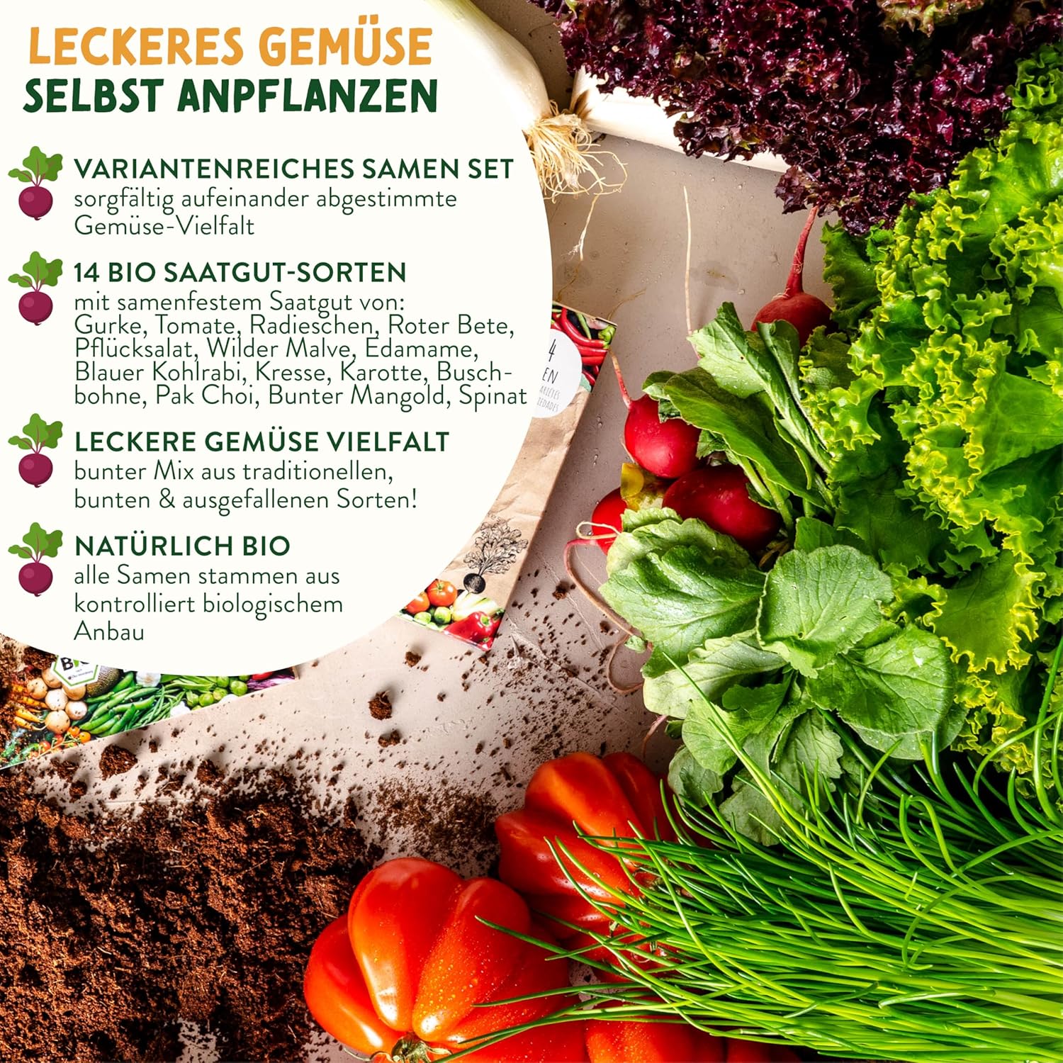 Bio Gemuese Samen Set 10 Sorten Anzuchtset Kinder Garten Pflanzset