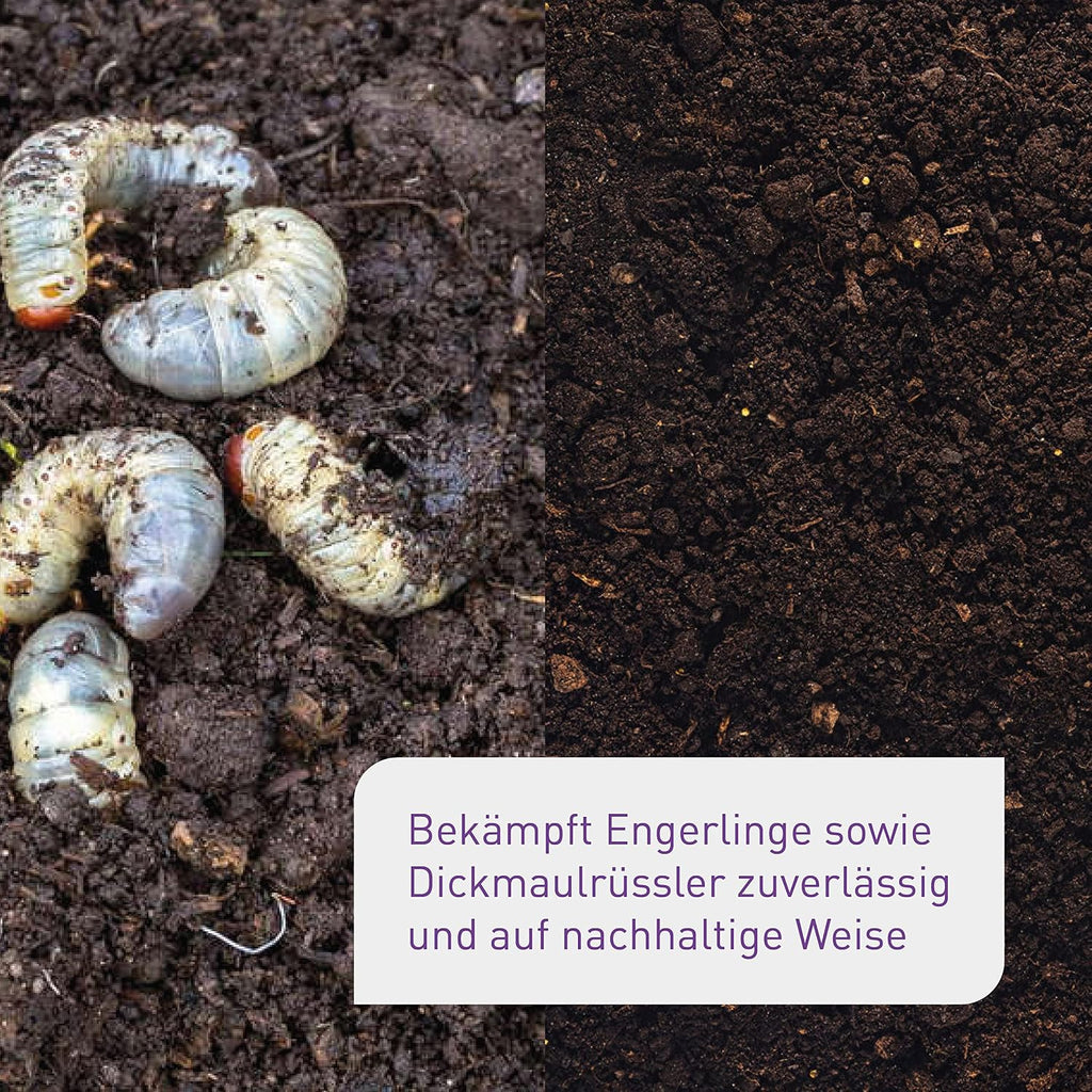 Plantura Nematoden gegen Trauermuecken zum Giessen 5 Mio fuer 5 m² (ca. 50 Pflanzen