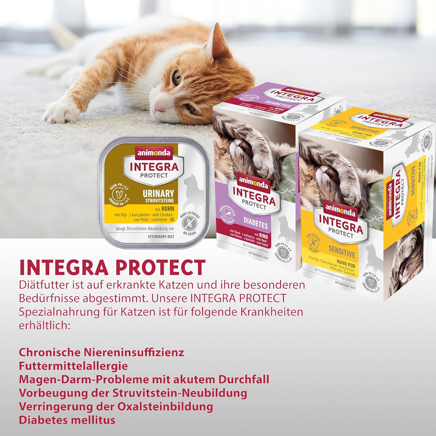 animonda INTEGRA PROTECT Urinary Katzenfutter Diaet bei Harnsteinen ve
