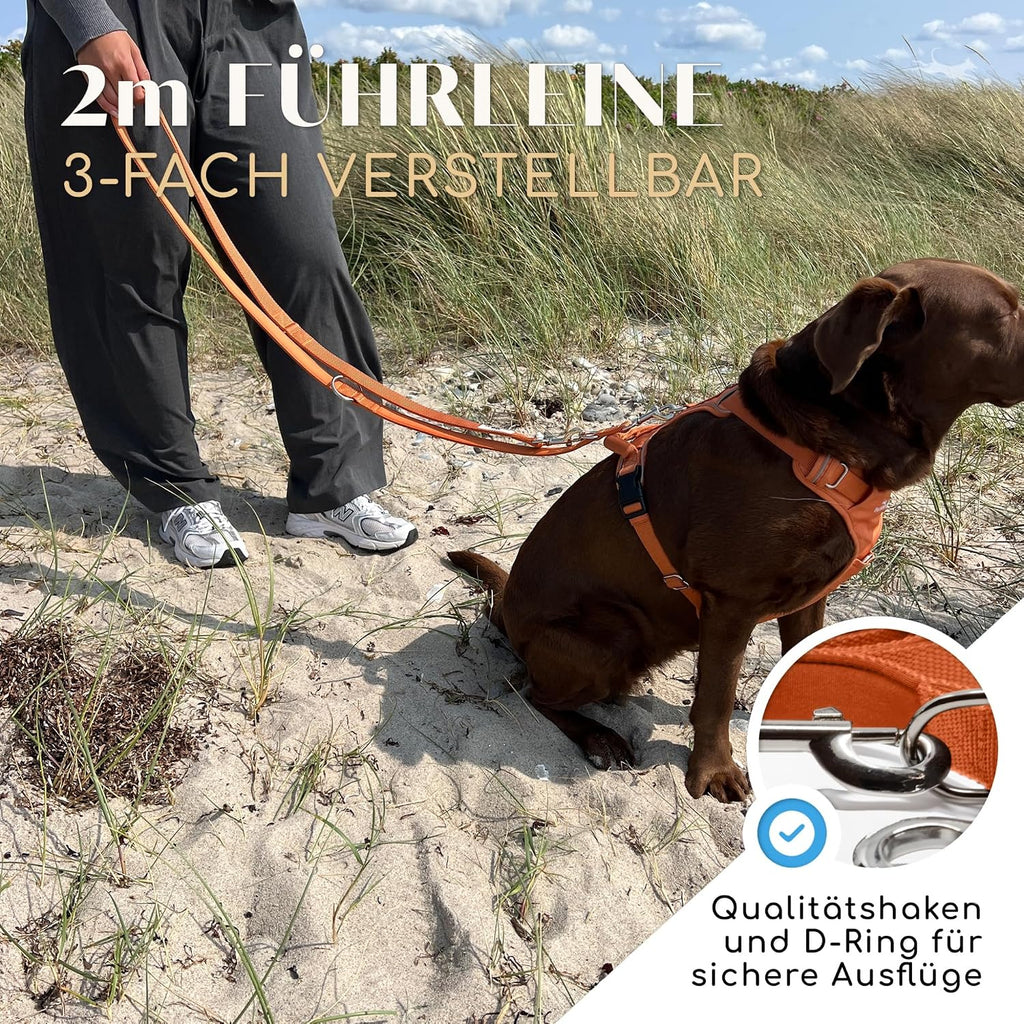 Freudentier Hundeleine Clyde 20 mm braun gepolstert verstellbar 2m