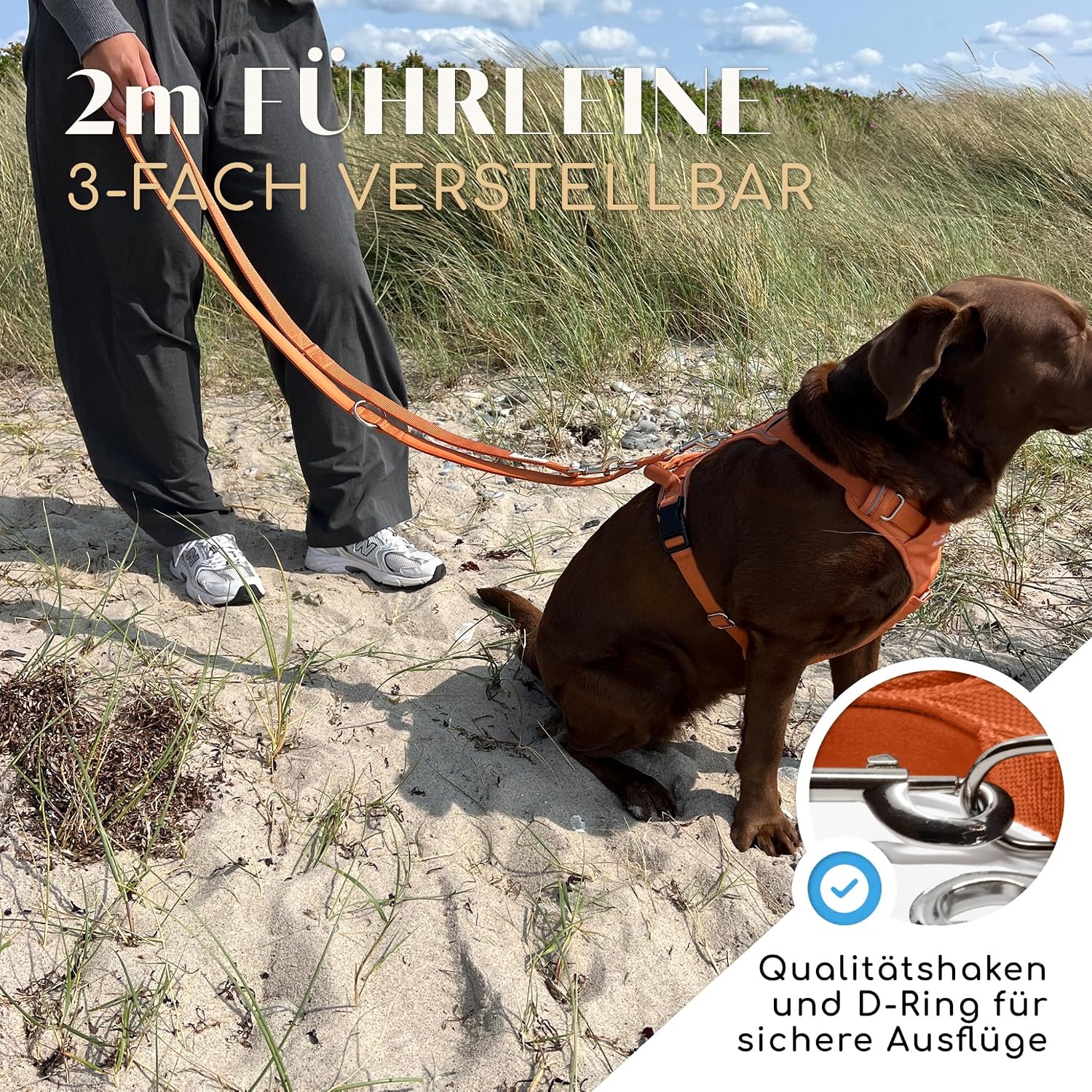 Freudentier Hundeleine Clyde 20 mm braun gepolstert verstellbar 2m