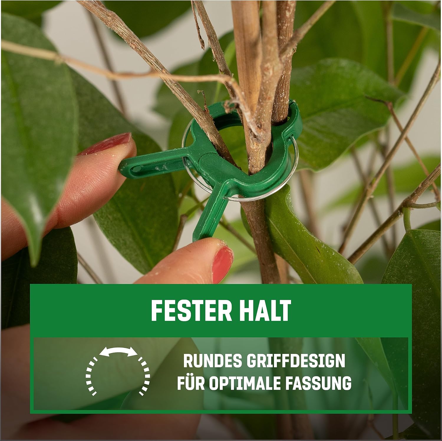 GardenGloss Pflanzenclips klein 48er Set Klammern fuer Tomaten Rosen