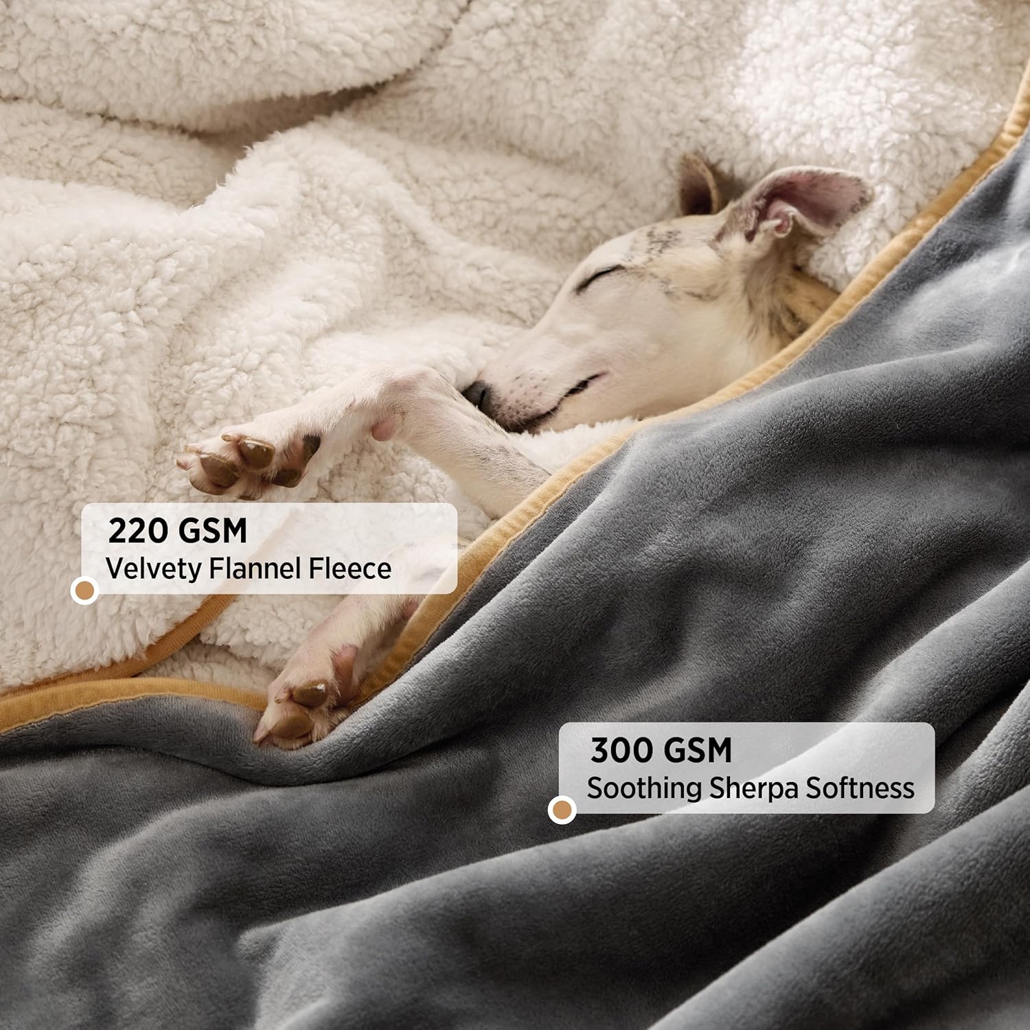 LE SURE Hundedecke 100x80 cm wasserdicht Sherpa Fleece Grau