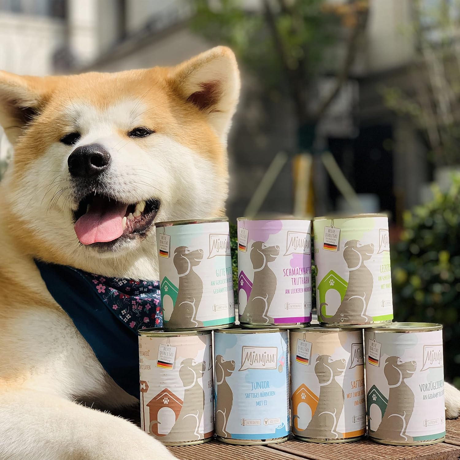 Hunde Nassfutter Mixpaket 400g verschiedene Geschmacksrichtungen