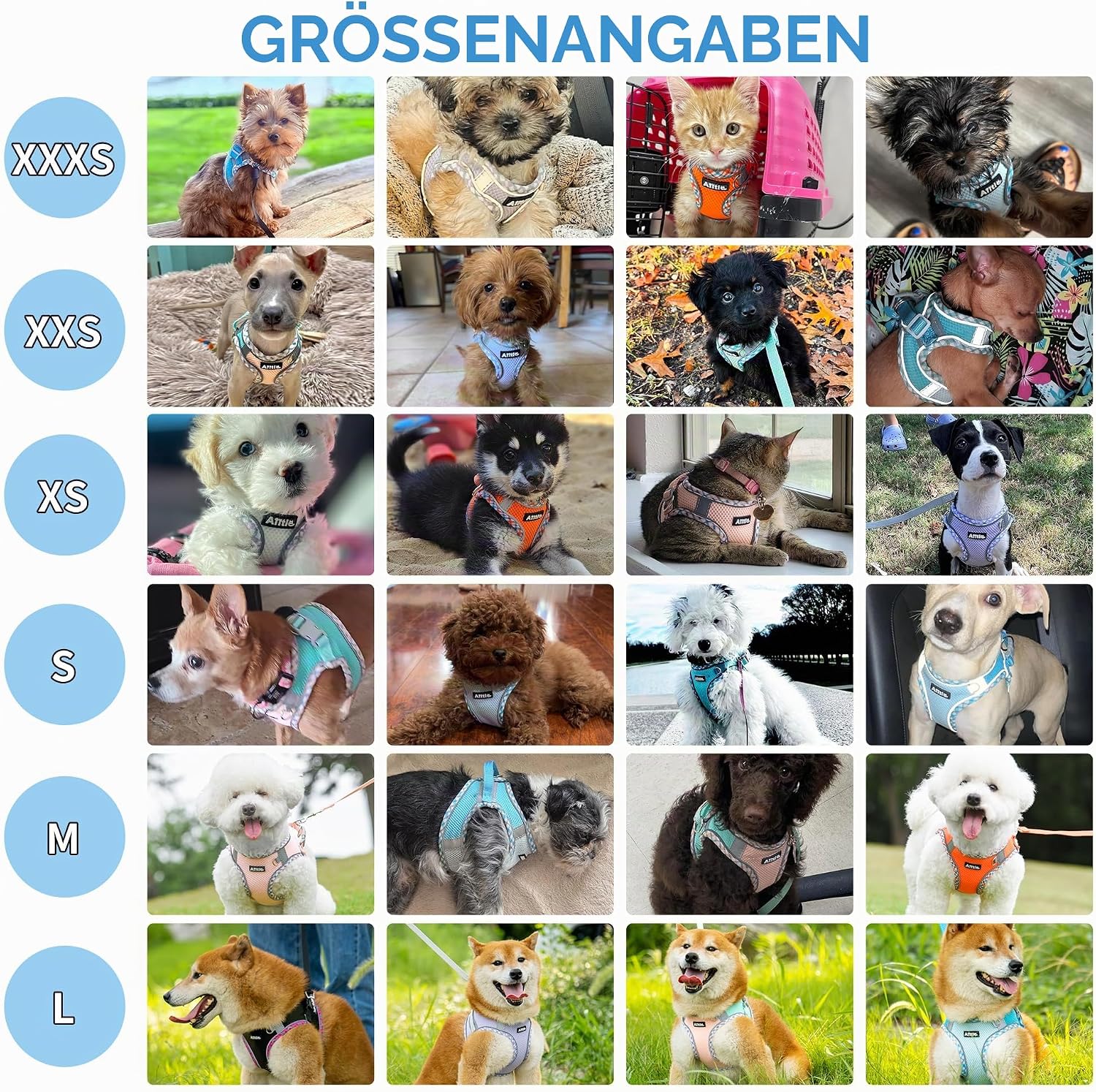 AIITLE Hundegeschirr reflektierend fuer kleine Hunde und Katzen in verschiedenen Groessen
