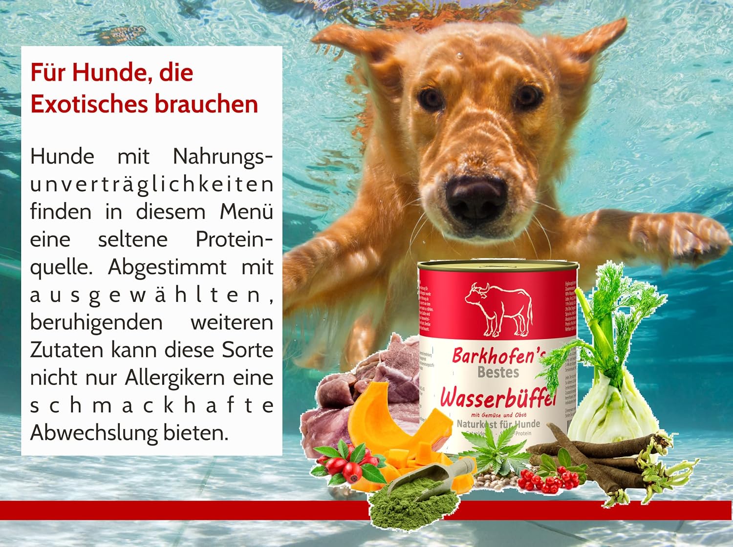 Barkhofen Nassfutter Hund 6 x 800g Wasserbueffel getreidefrei in Dosen