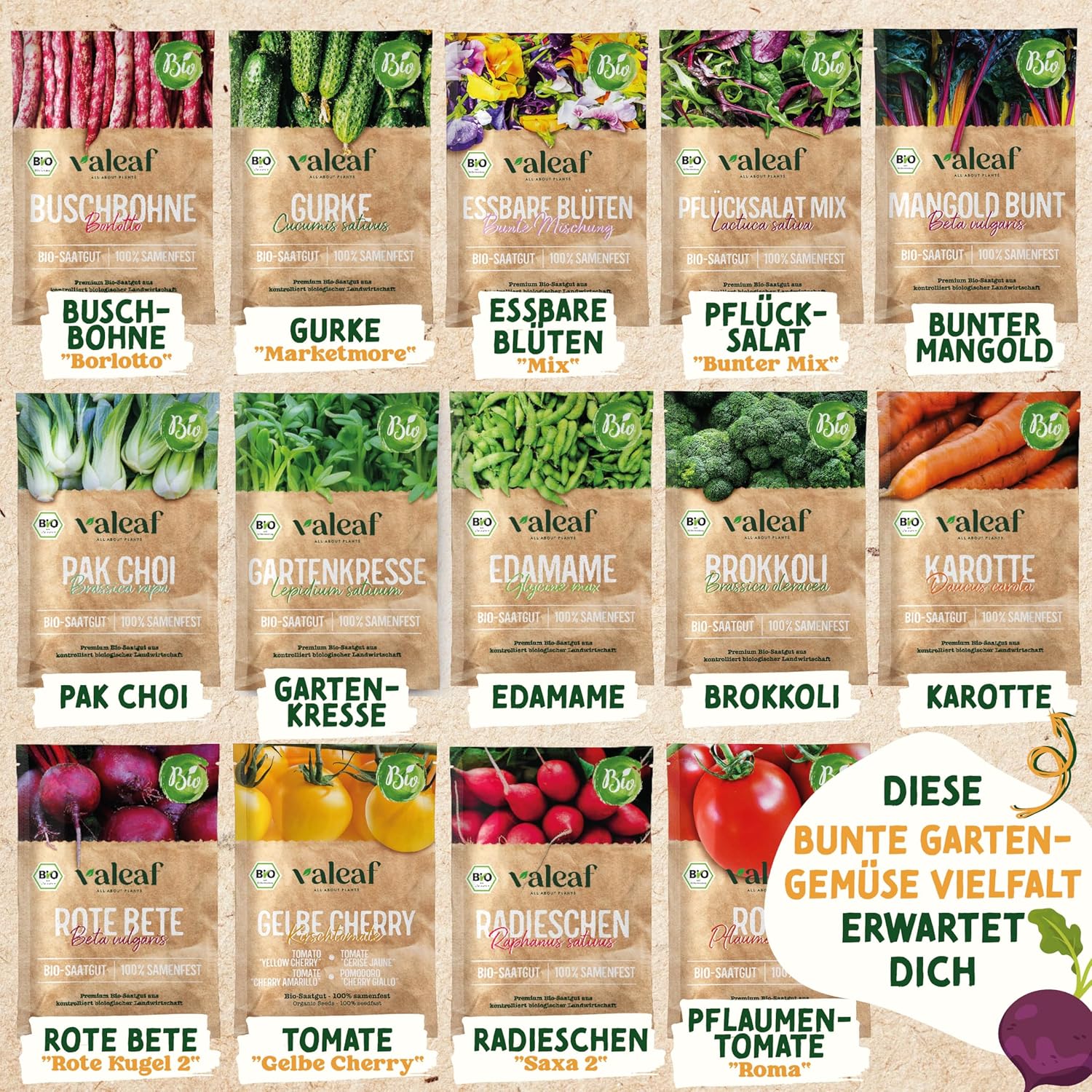Bio Gemuese Samen Set 10 Sorten Anzuchtset Kinder Garten Pflanzset