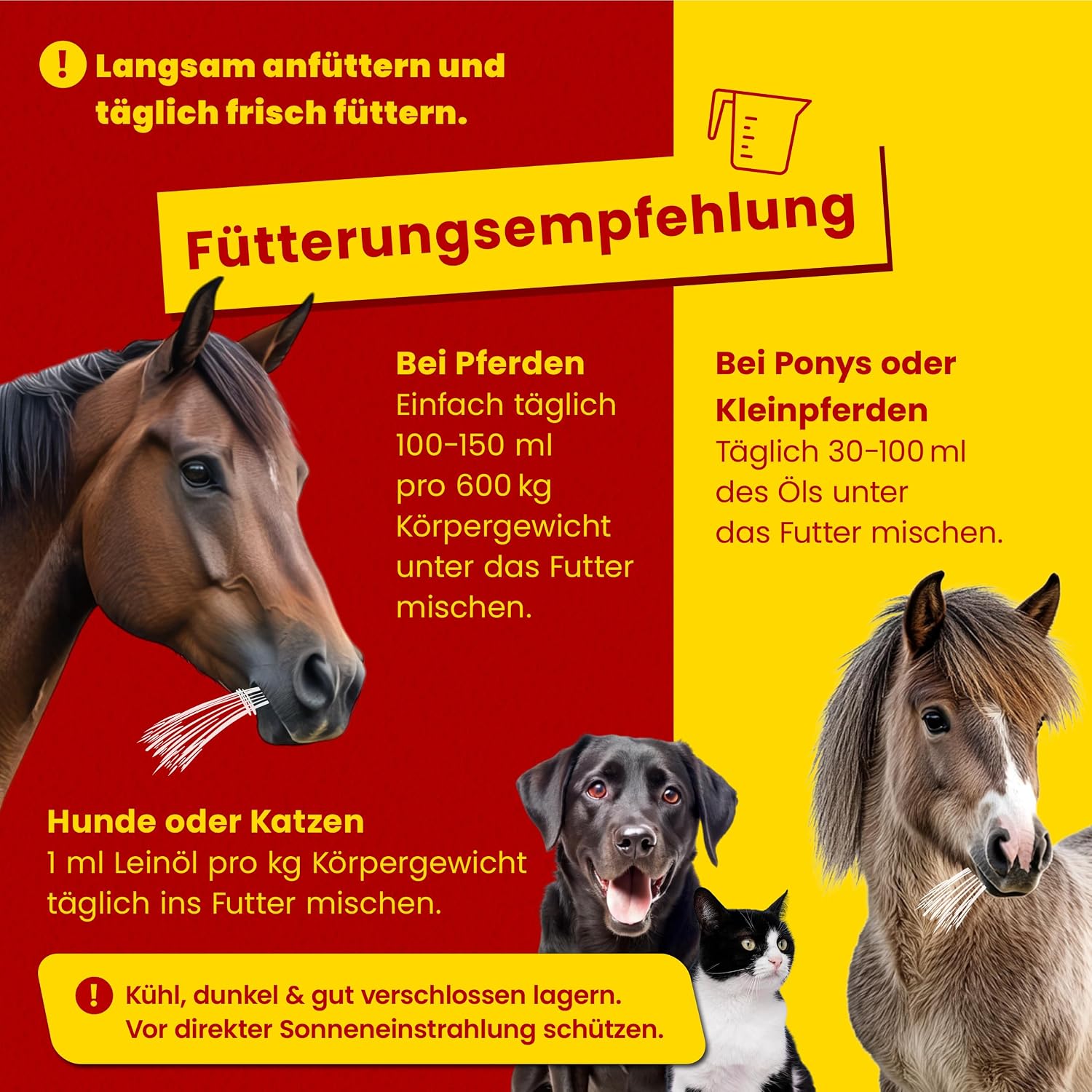 Scheidler Leinöl für Pferd Hund Katze 5 L Omega 3 und 6