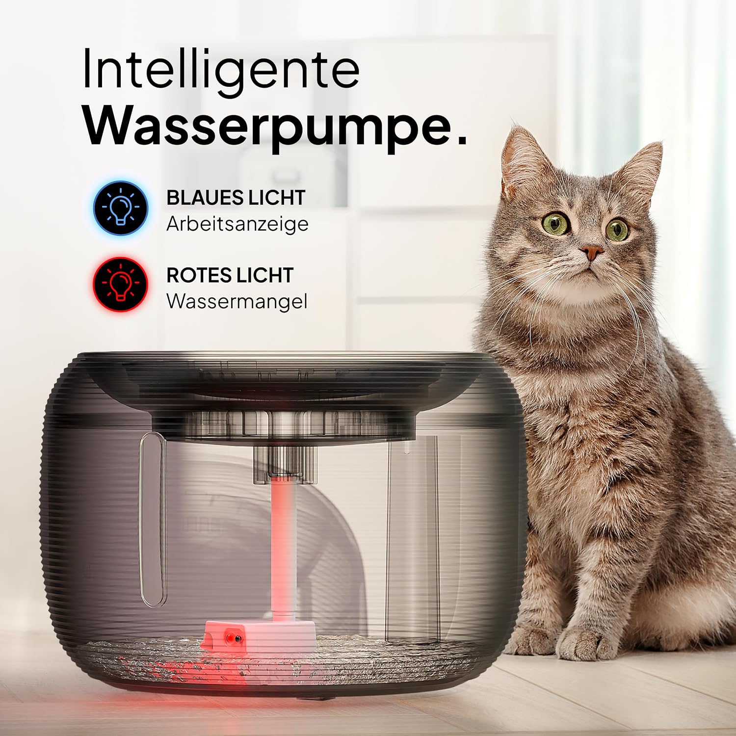 Pretty Paw Katzen Trinkbrunnen 2,5L leise mit LED und Aktivkohlefilter