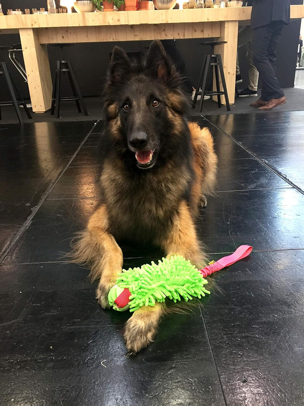 Dingo Mop Bungee Hundespielzeug Gruen Mikrofaser Vanille Duft Tauzieh Ball