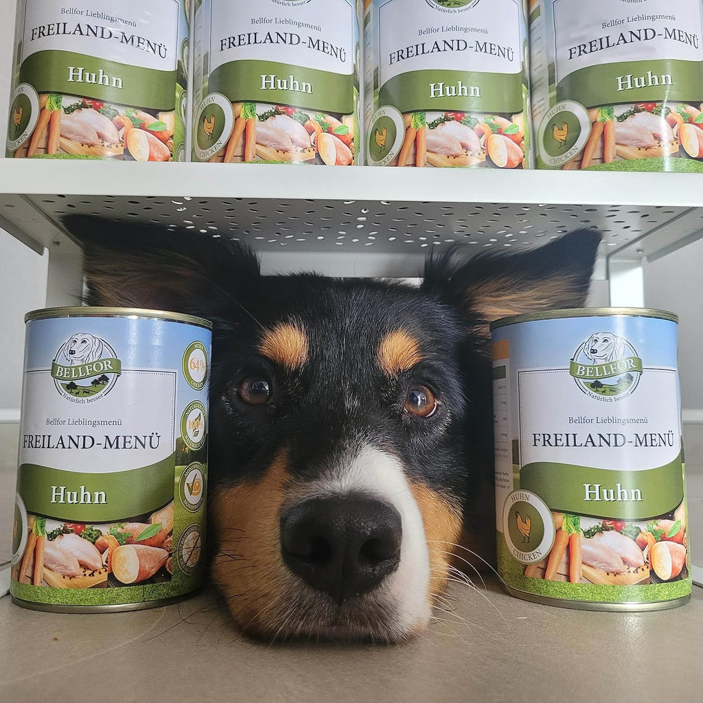 Bellfor Freiland-Menue Hundefutter nass mit Huhn 6x400g, getreidefrei