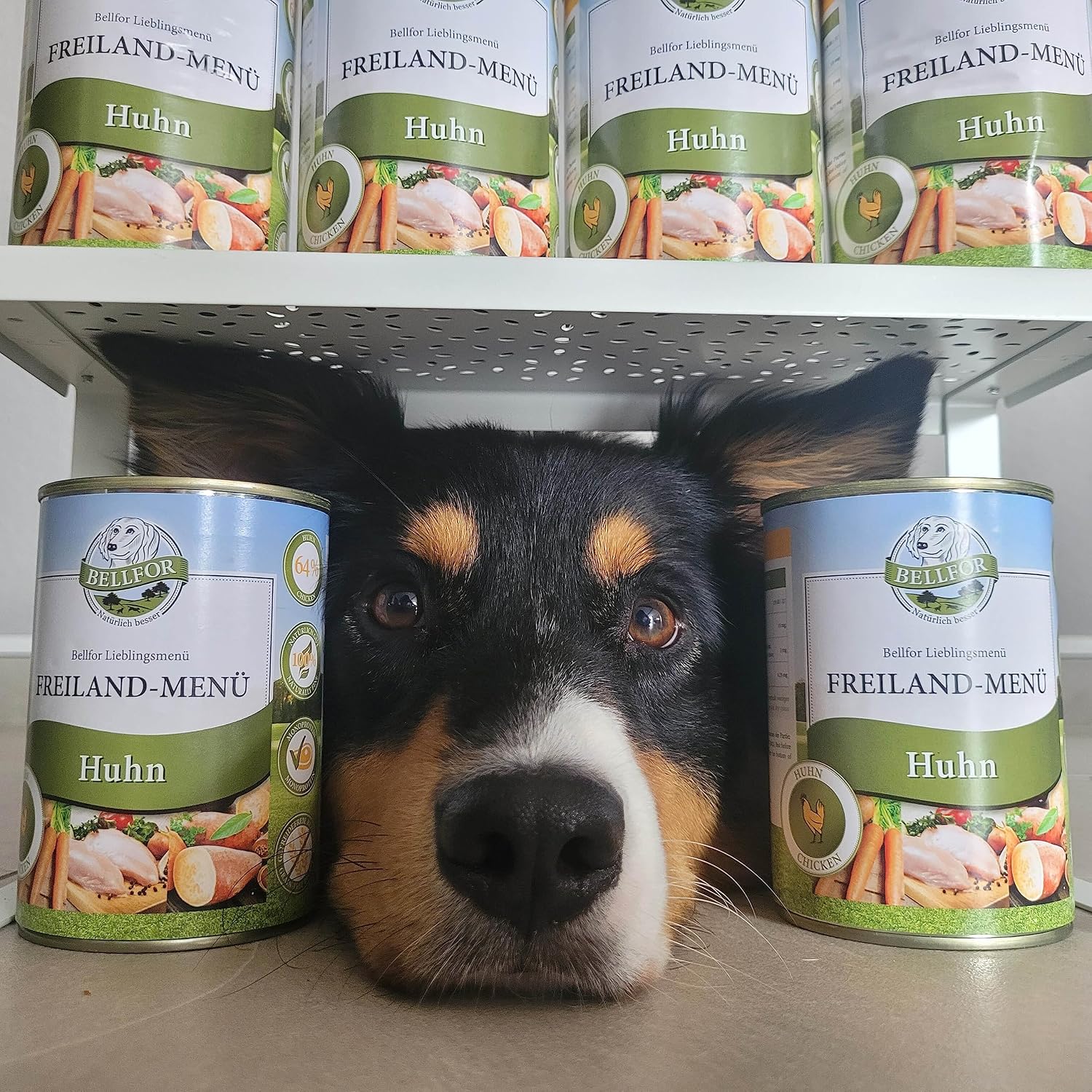 Bellfor Freiland-Menue Hundefutter nass mit Huhn 6x400g, getreidefrei