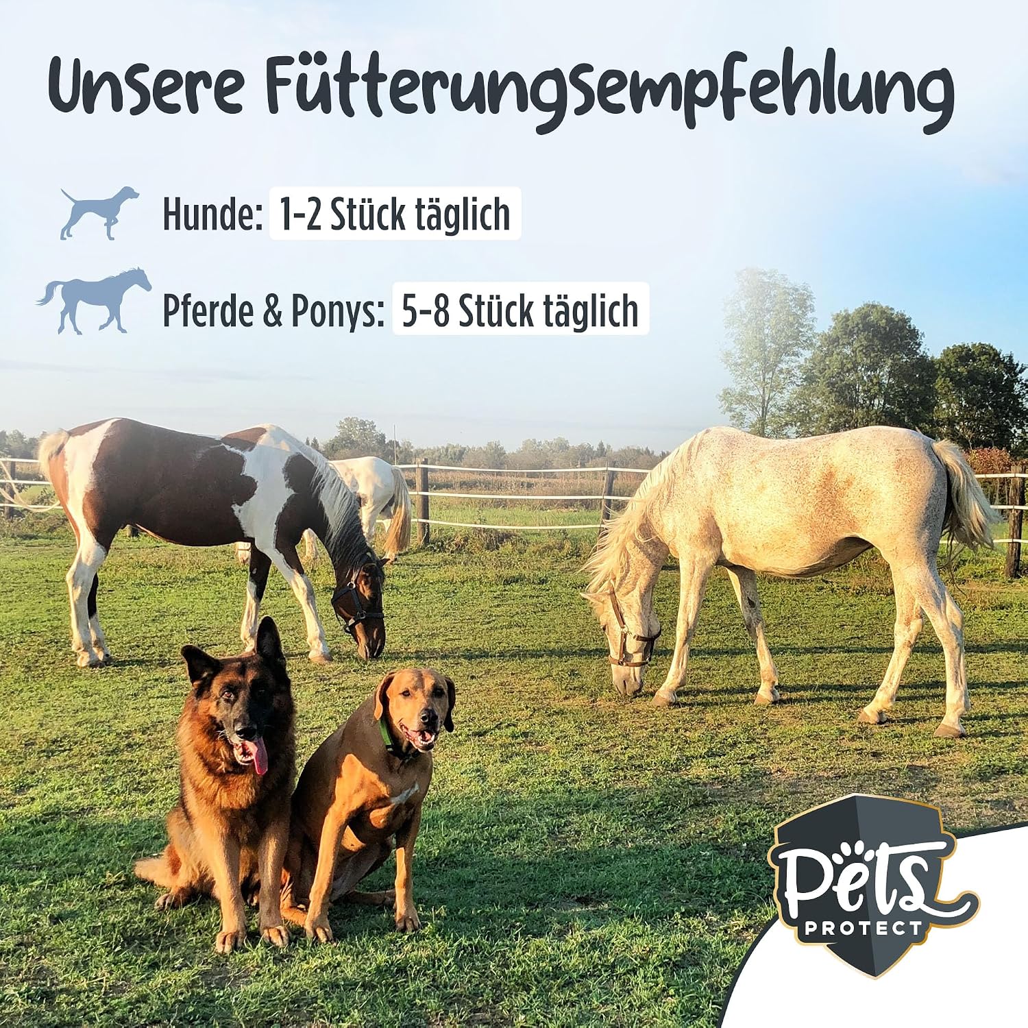 Pets Protect Bio Kokoshappen 300 g vegane Hundesnacks getreidefrei