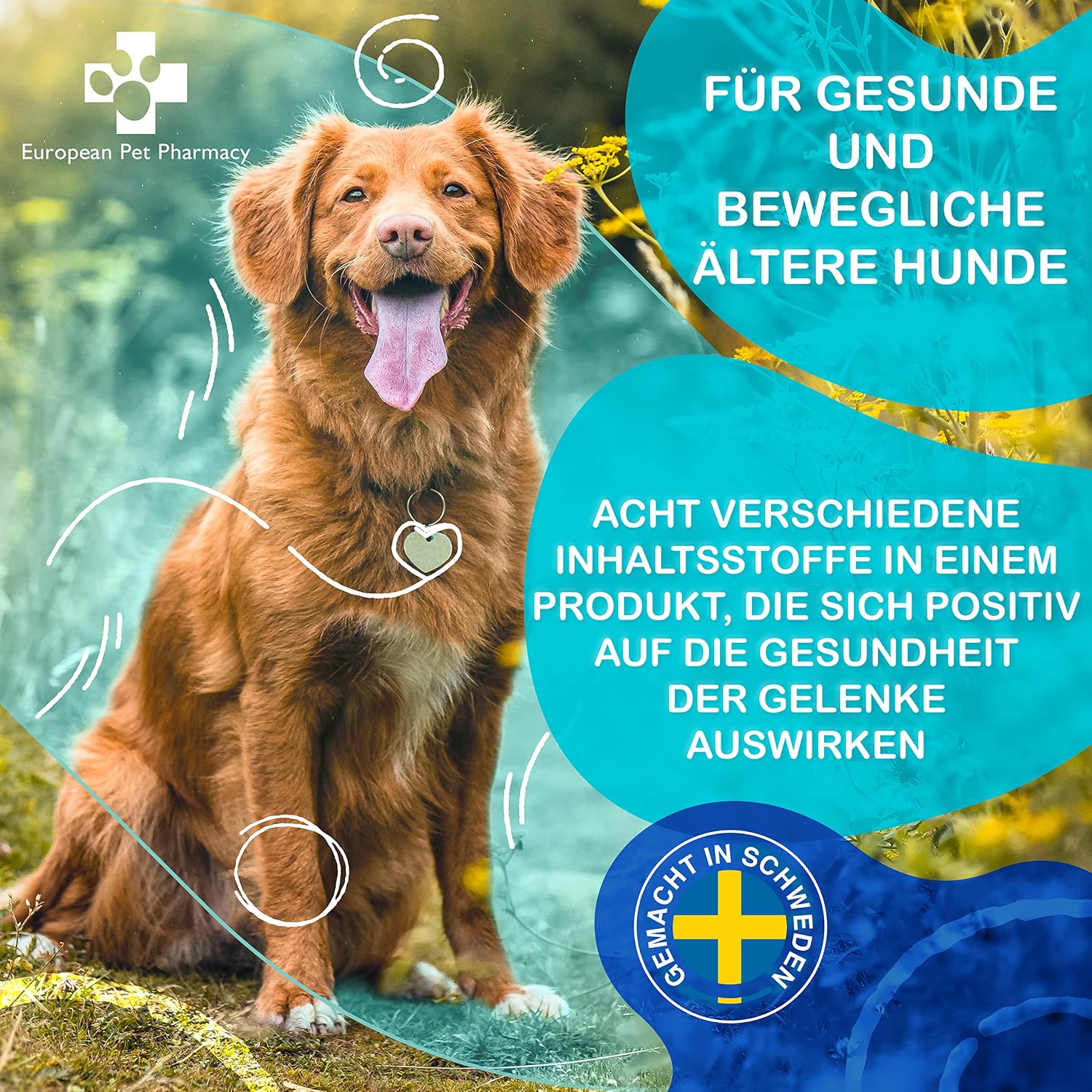 Pro-X Nahrungsergaenzung Hund Proteinpulver aus getrockneten Insekten, vers