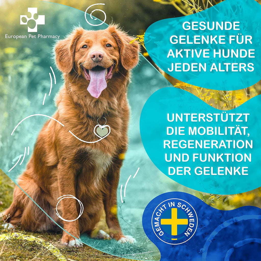 Pro-X Nahrungsergaenzung Hund Proteinpulver aus getrockneten Insekten, vers