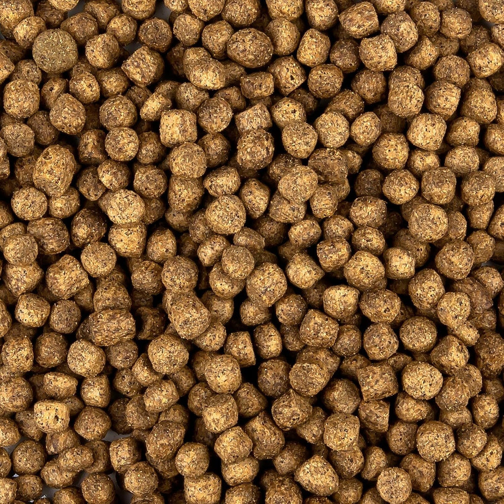 All Season Koi-Futter 6 mm schwimmend Ganzjahresfutter mit Fischoel 13,5 kg