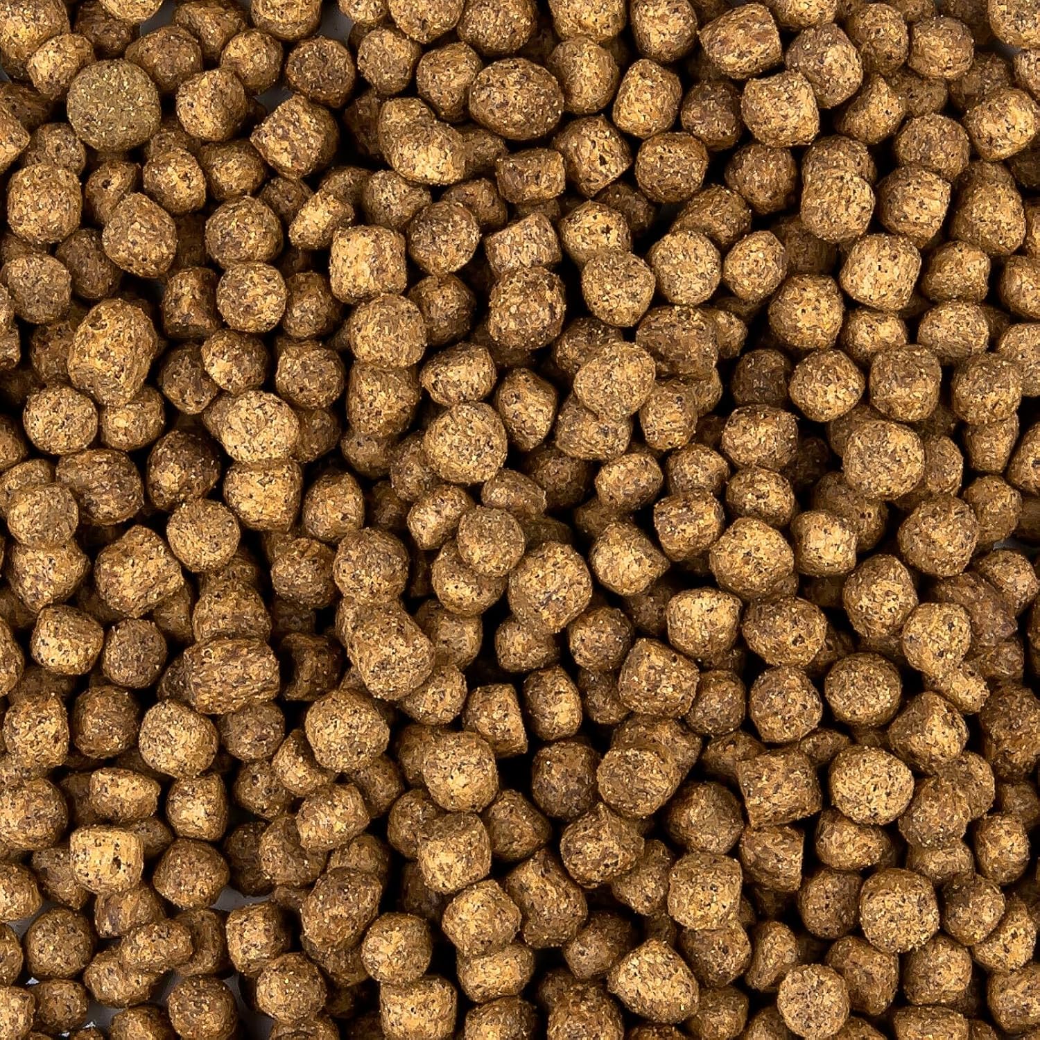 All Season Koi-Futter 6 mm schwimmend Ganzjahresfutter mit Fischoel 13,5 kg