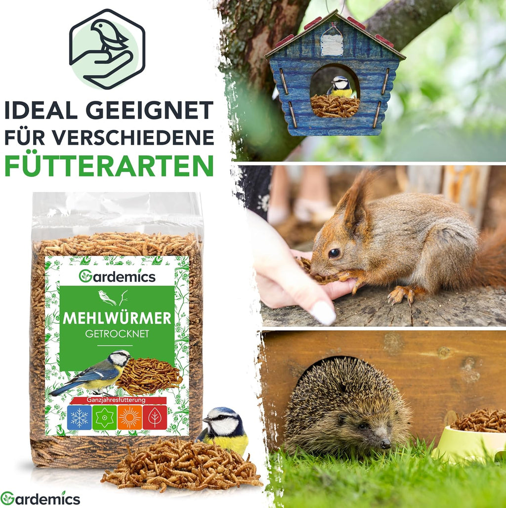 Gardemics Mehlwuermer getrocknet Insektenfutter fuer Voegel Fische Reptili