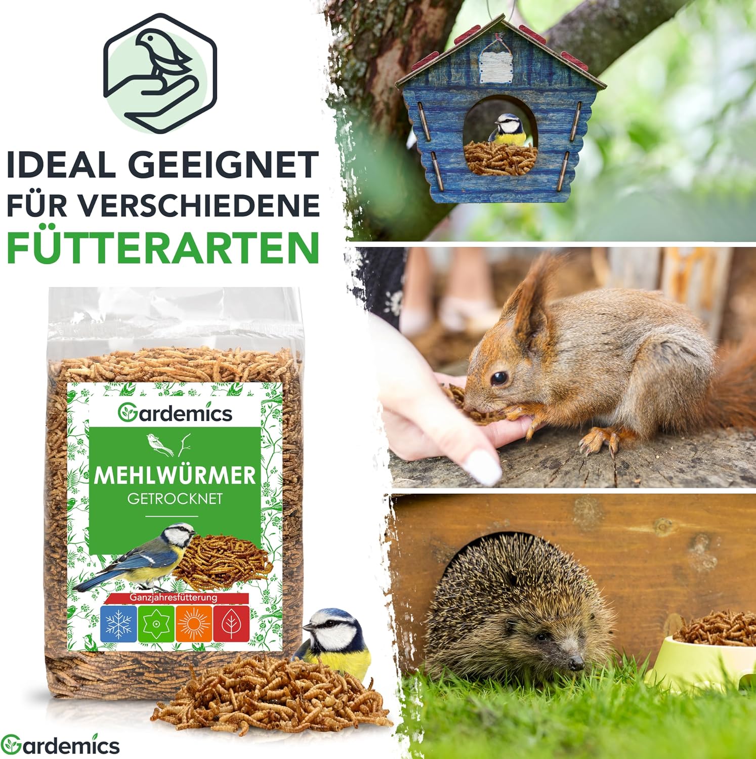 Gardemics Mehlwuermer getrocknet Insektenfutter fuer Voegel Fische Reptili
