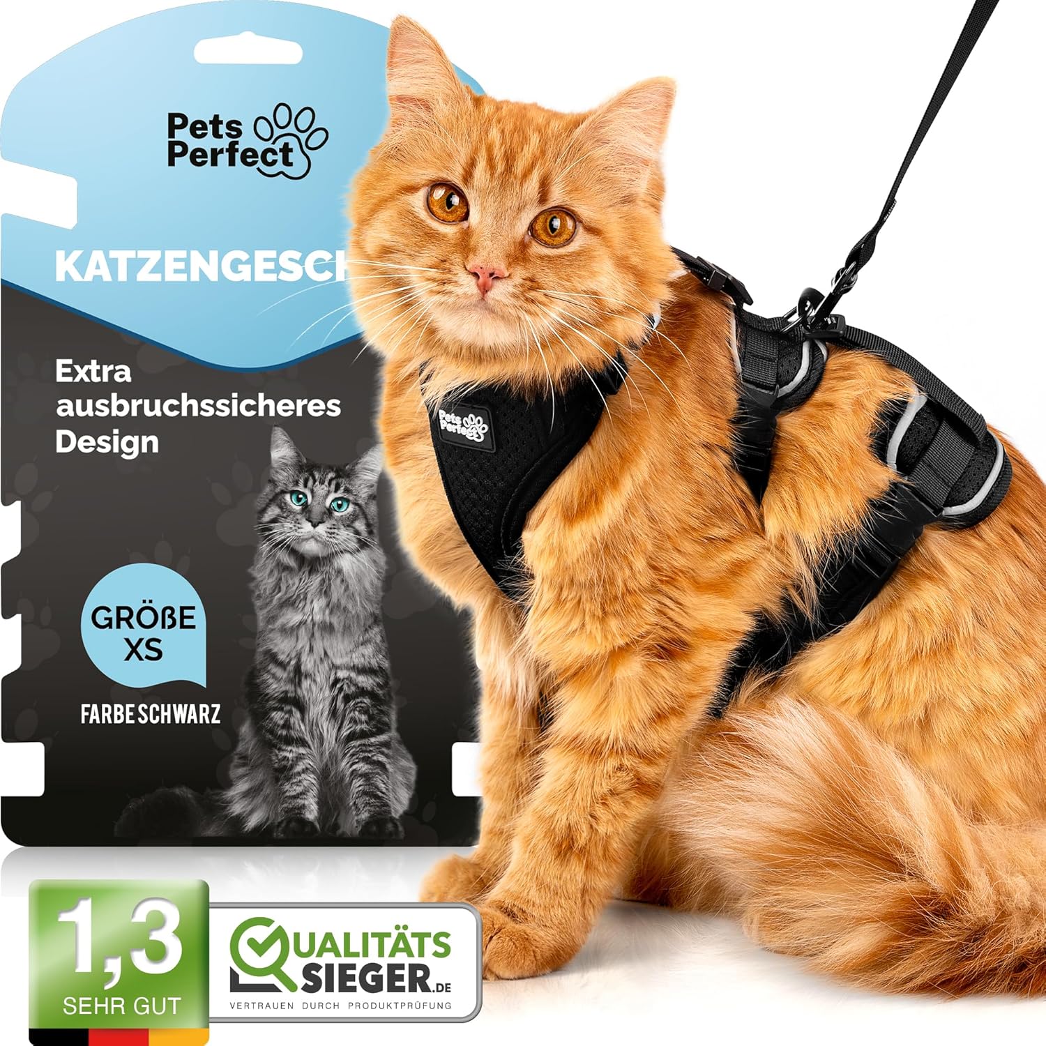 Katzengeschirr verstellbar mit Leine XS-S Schwarz Ausbruchsicher Spaziergang