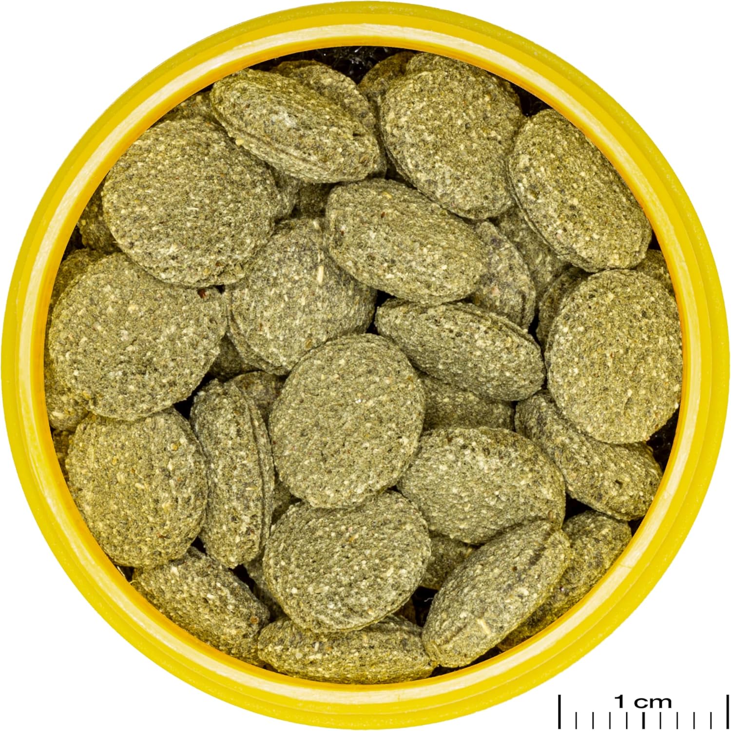 JBL ProNovo Pleco WAFER Futterwafer fuer Saugwelse 1-20 cm Groesse M 100 ml