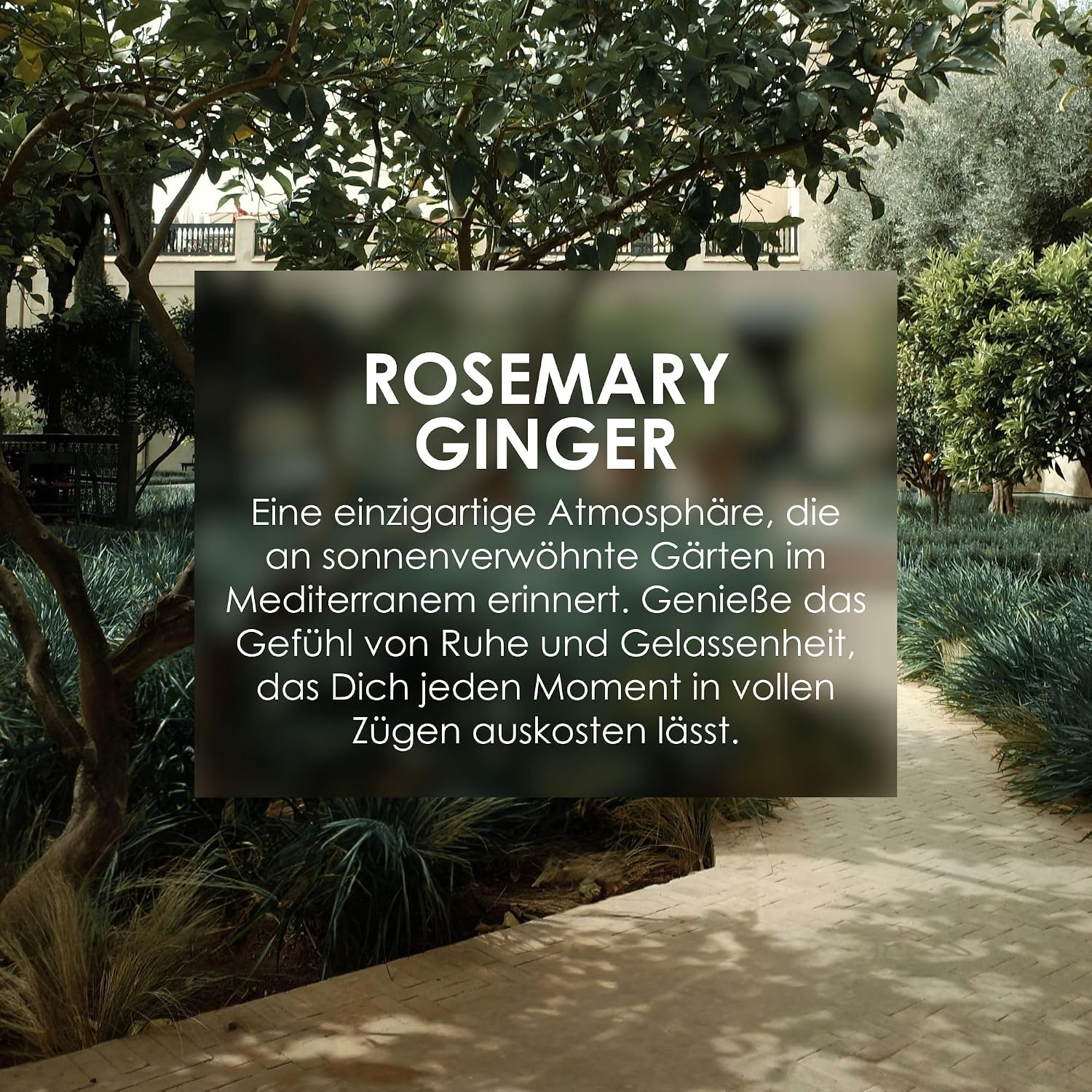 Jean & Len Haarkur Rosemary Ginger 200 ml fuer trockenes, strapaziertes Haar