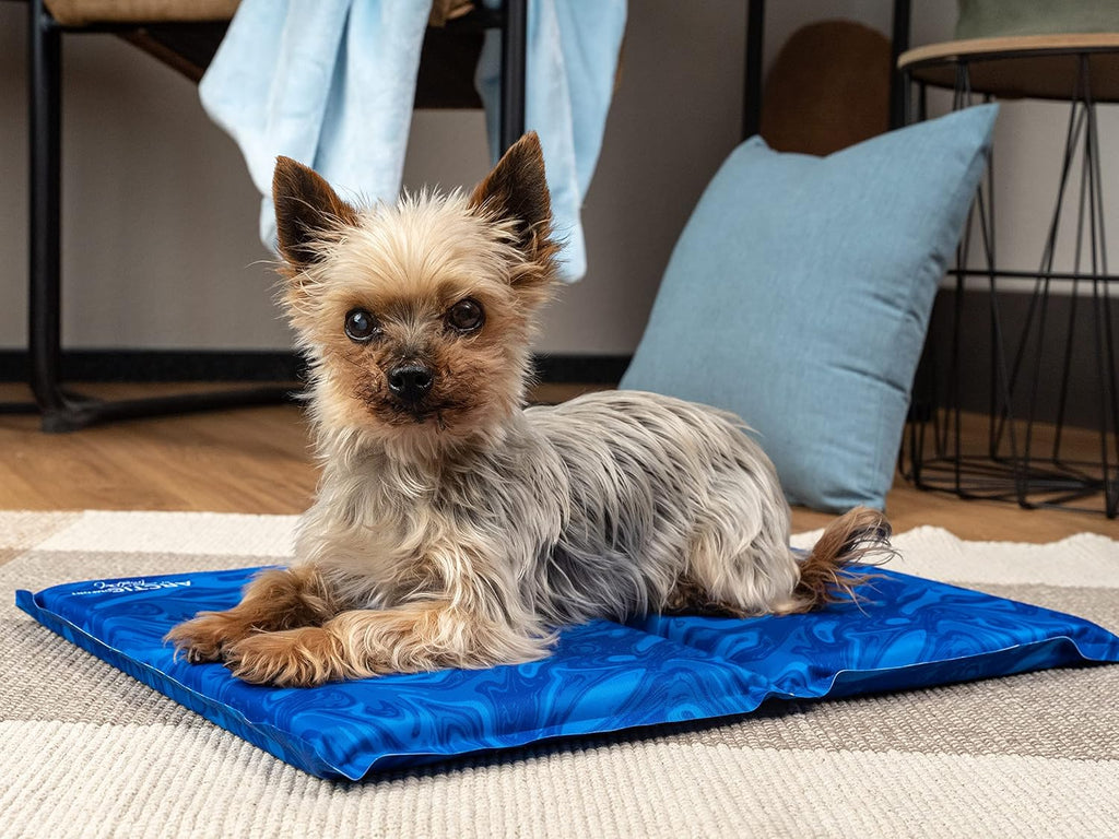 TrendPet Arctic Comfort Kuehlmatte Hund 60x45 cm 20 mm extra dick selbstkuehlend