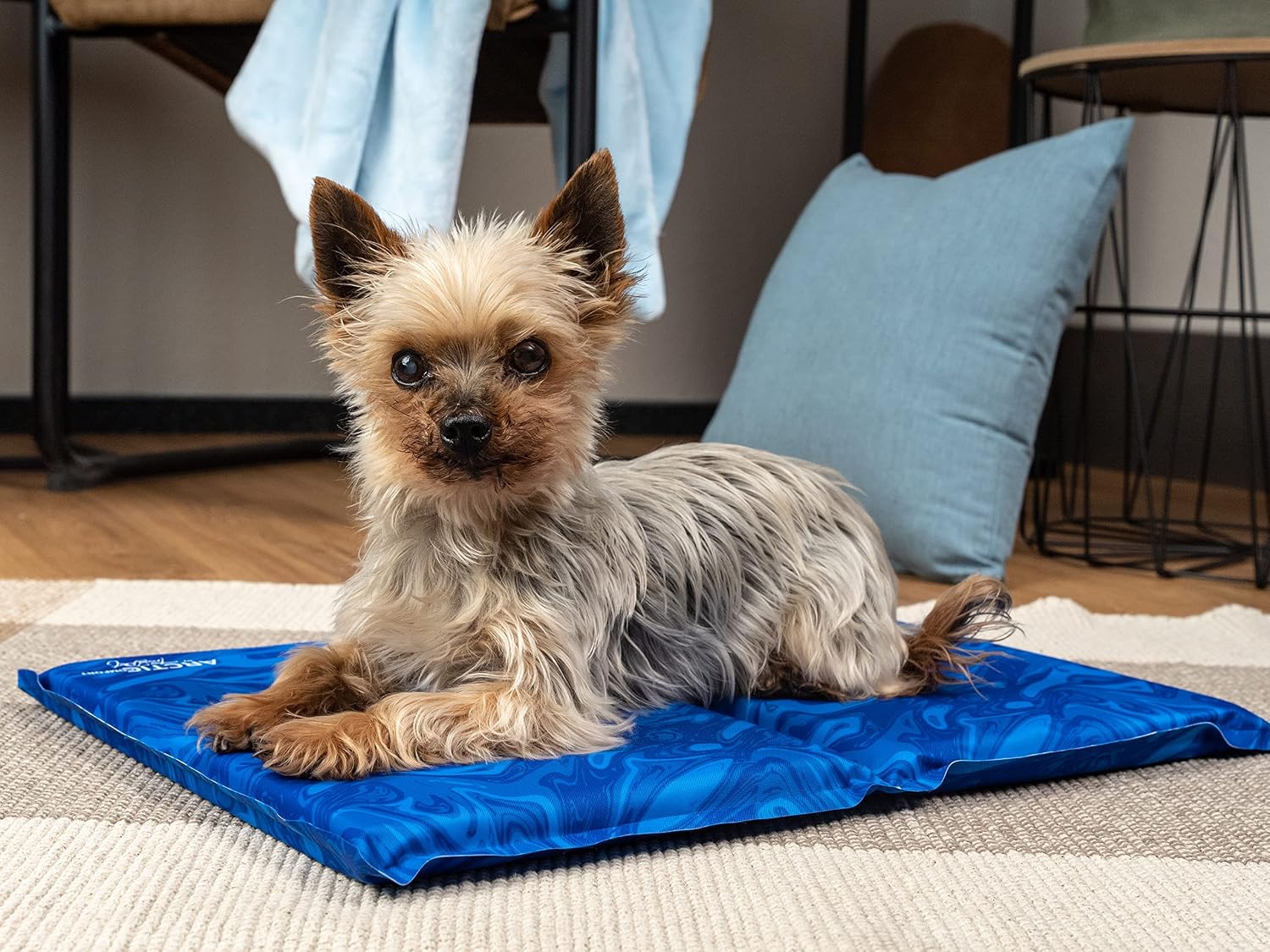 TrendPet Arctic Comfort Kuehlmatte Hund 60x45 cm 20 mm extra dick selbstkuehlend