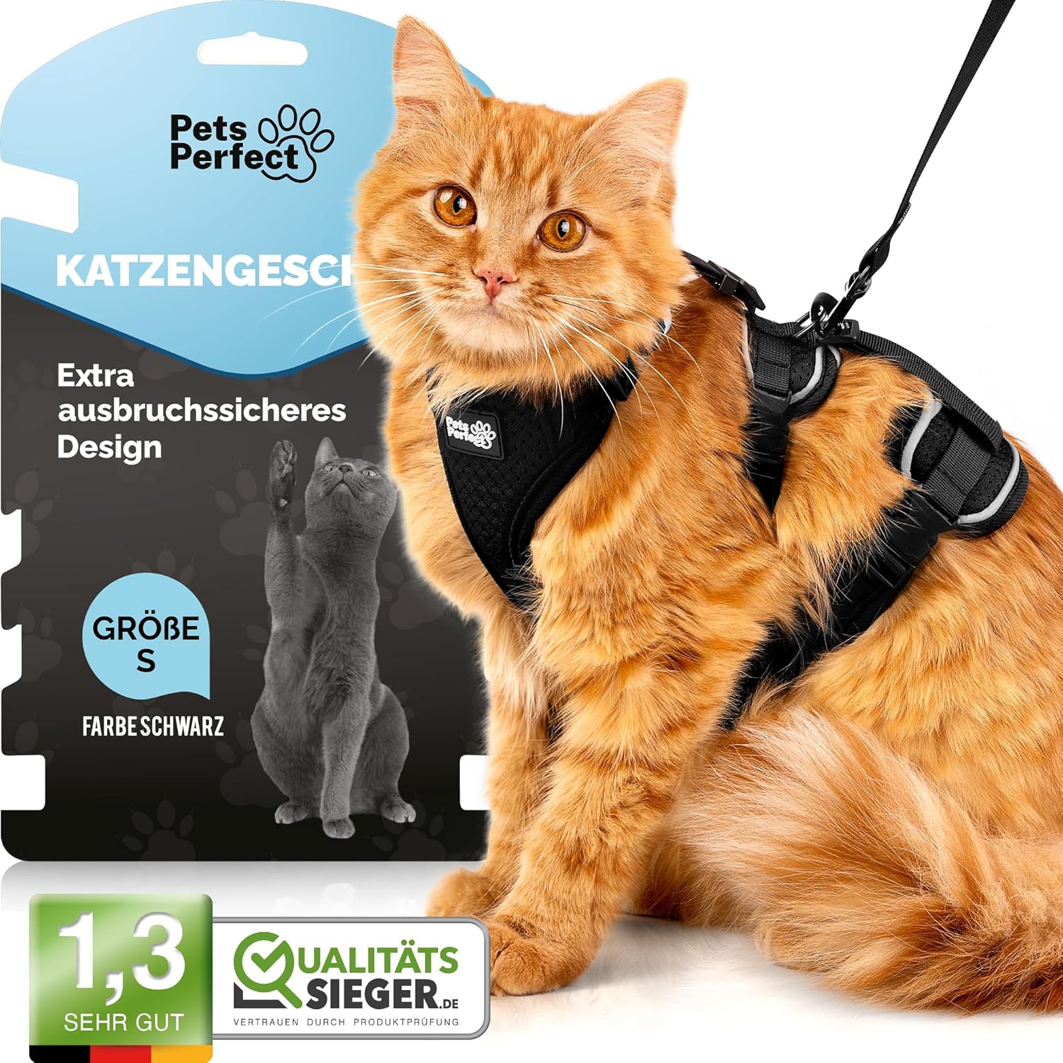 Katzengeschirr verstellbar mit Leine XS-S Schwarz Ausbruchsicher Spaziergang