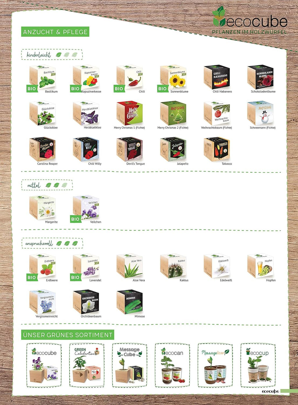 Ecocube Aloe Vera Anzuchtset im Holzwuerfel Zimmerpflanze Geschenk