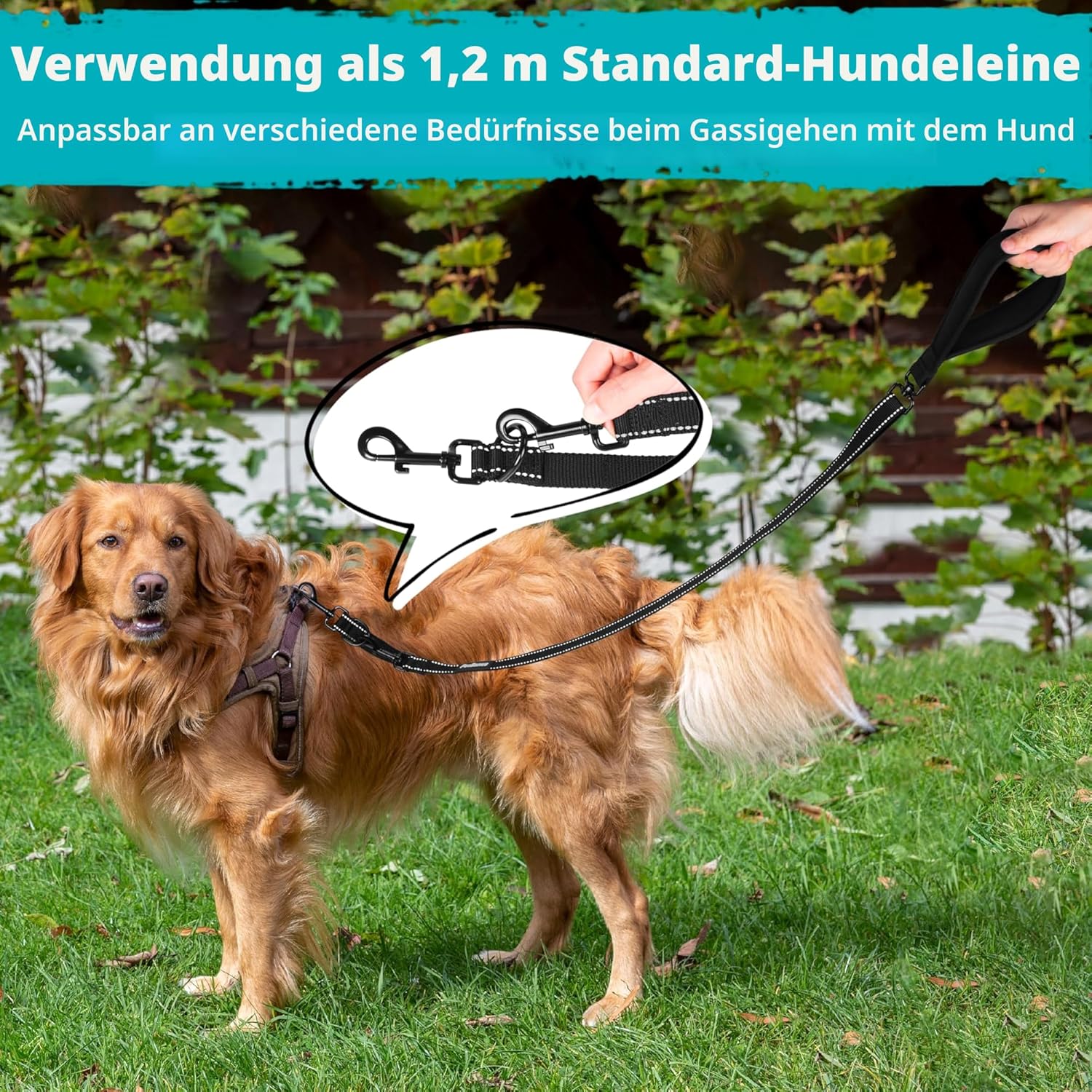 PetBonus Hundeleine Anti-Zieh doppelt reflektierend Schwarz Groesse Gross/Mittel