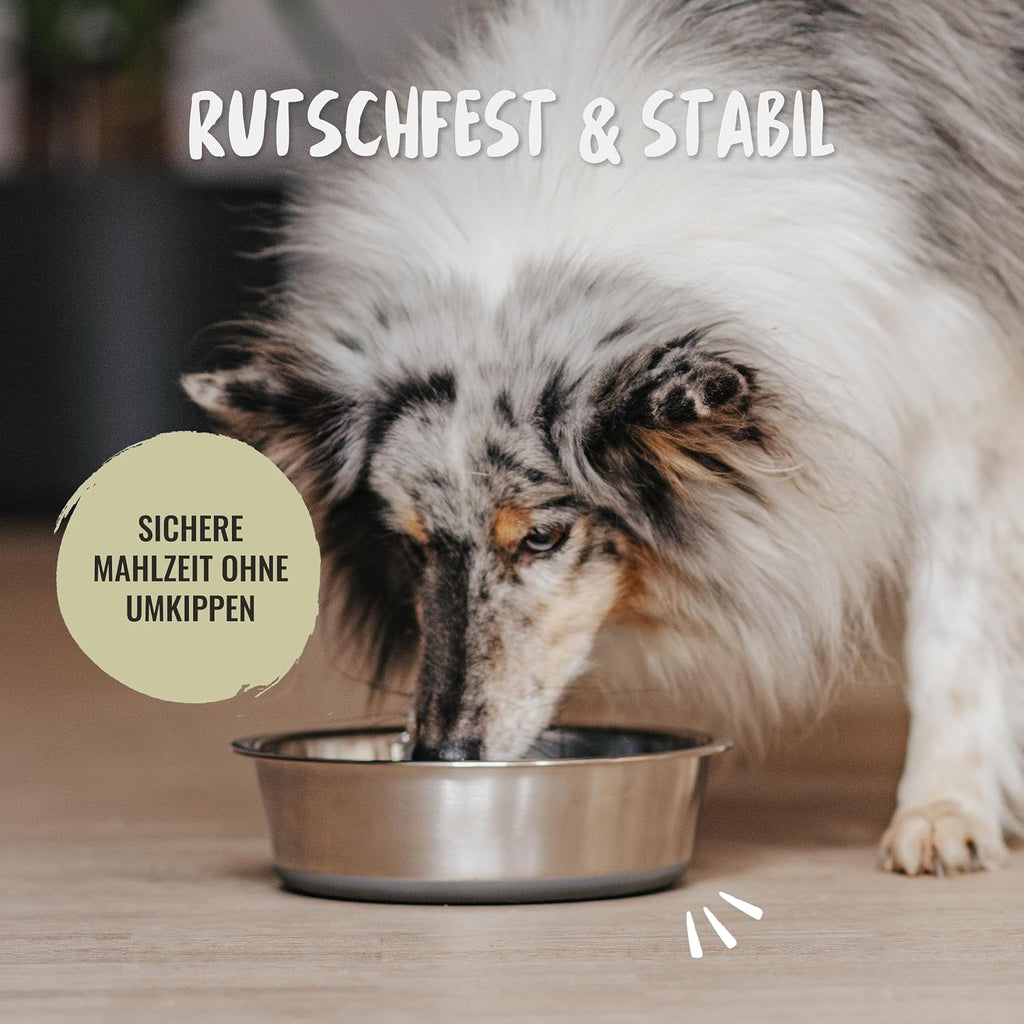 Rudelkoenig Hundenapf Edelstahl 2er Set rutschfest