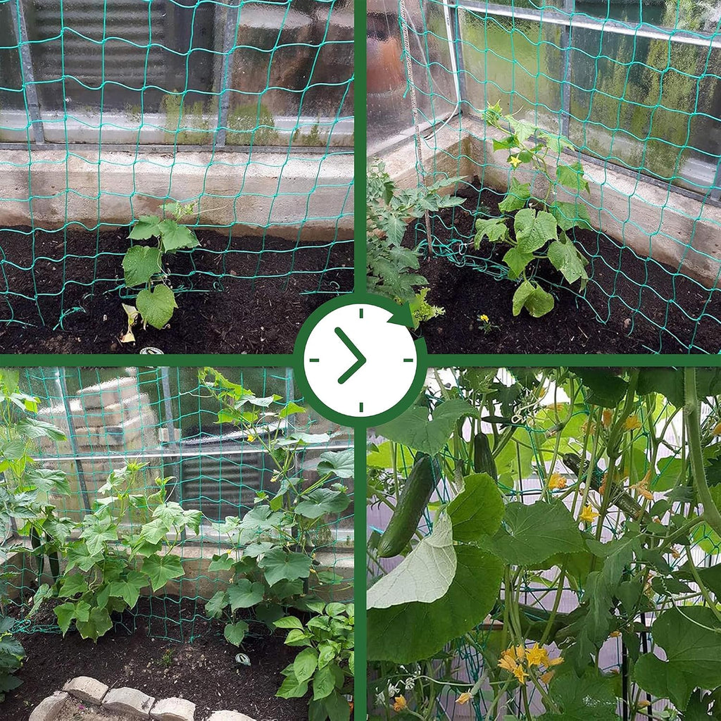 GardenGloss Ranknetz 2m x 2,5m fuer Gurken Tomaten Kletterpflanzen 2m