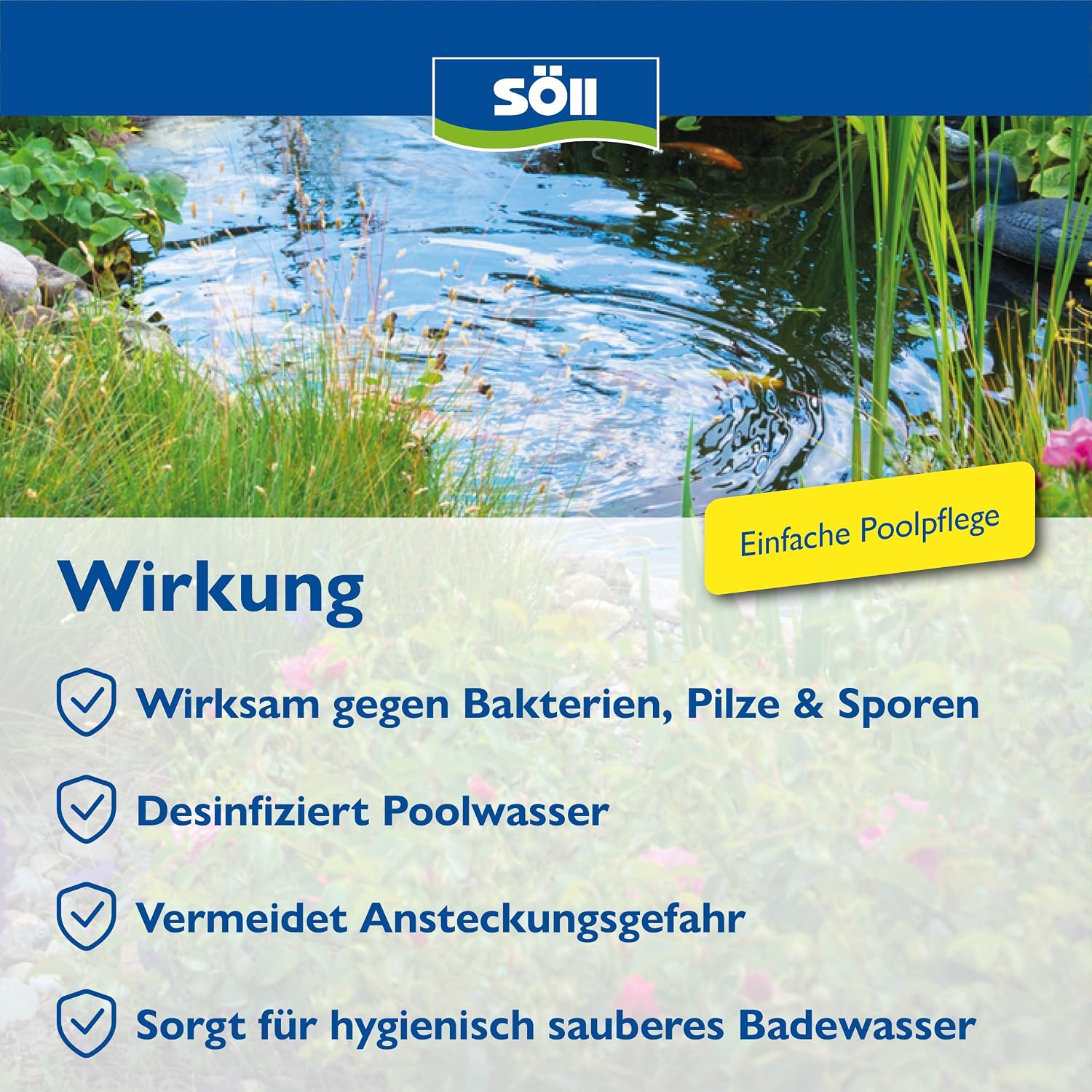 Soell AquaDes Desinfektion fuer Pool Wasserpflege gegen Bakterien