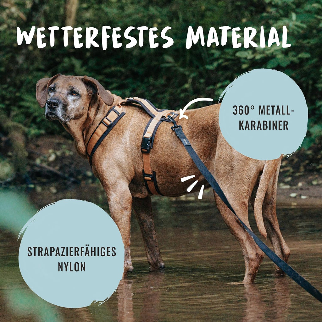 Rudelkoenig Hundeschleppleine 5m-20m mit Griffpolsterung wetterfest