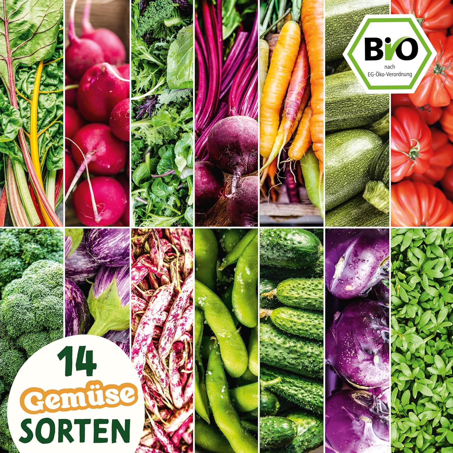 Bio Gemuese Samen Set 10 Sorten Anzuchtset Kinder Garten Pflanzset
