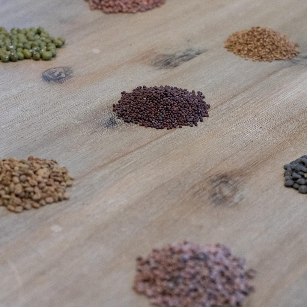 Bio Sprossensamen Set Microgreens Keimsamen Starterset Anzucht