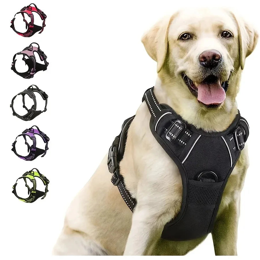Hundegeschirr Weste mit Leine – Verstellbar für kleine & mittelgroße Hunde