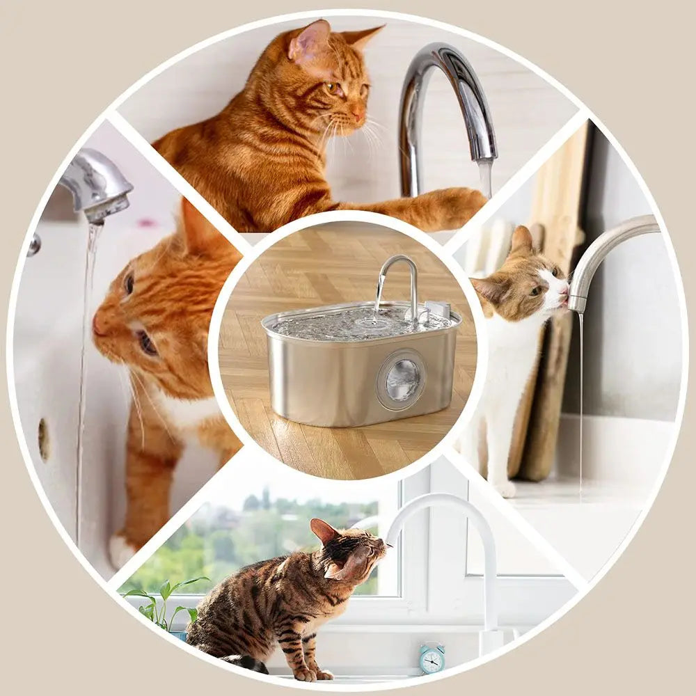 Haustier Wasserspender 3,2L – Edelstahl, Leise, Automatisch mit Filter
