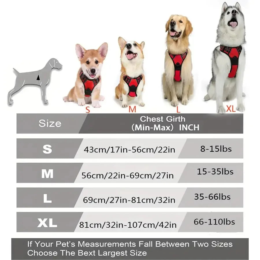 Hundegeschirr Weste mit Leine – Verstellbar für kleine & mittelgroße Hunde