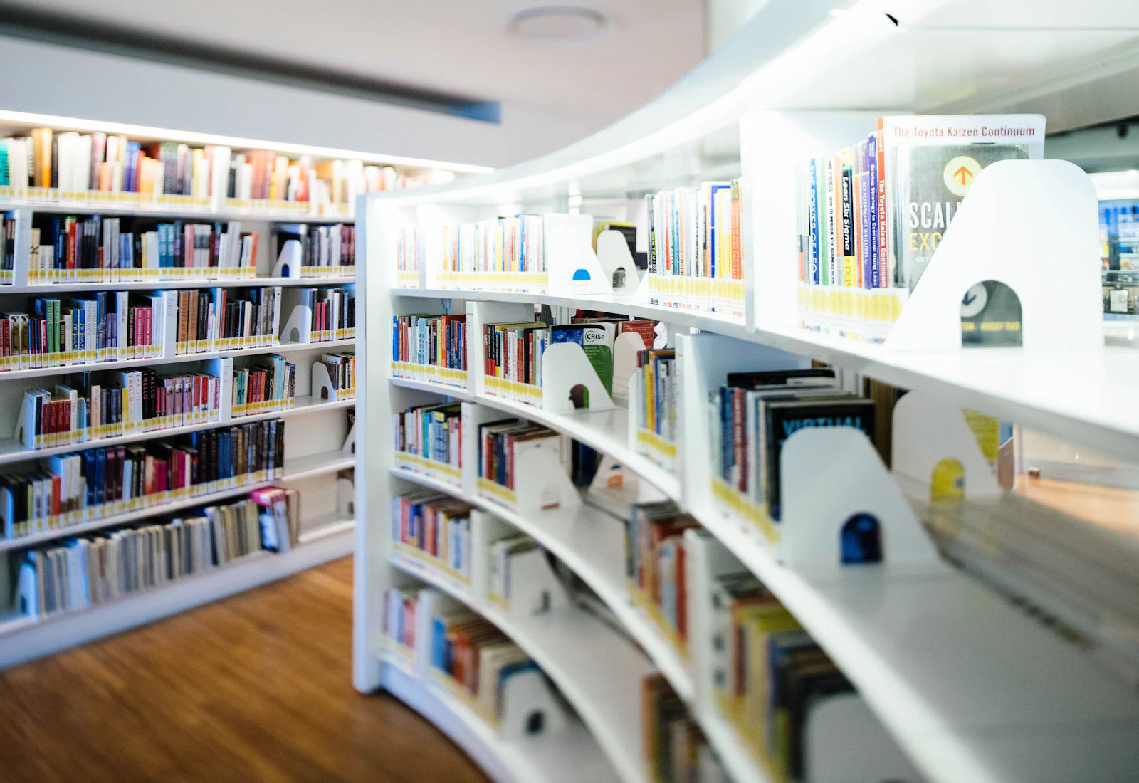 Bücher & Medien entdecken